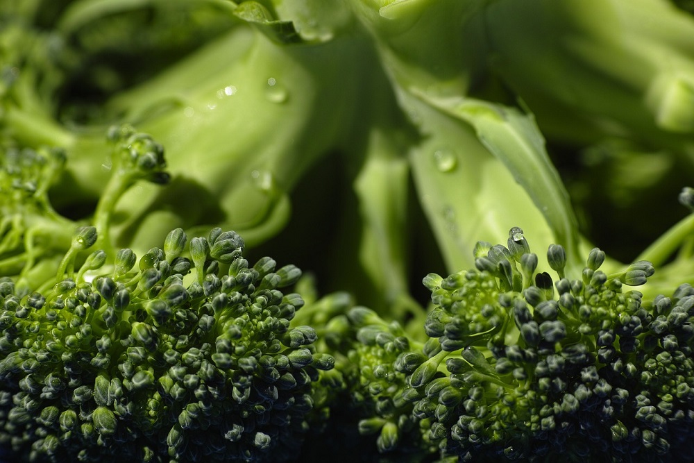Detail brokolice 
