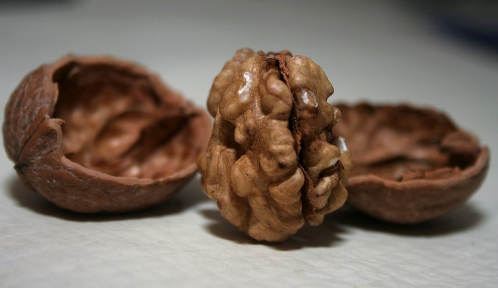 Jádro ořechu