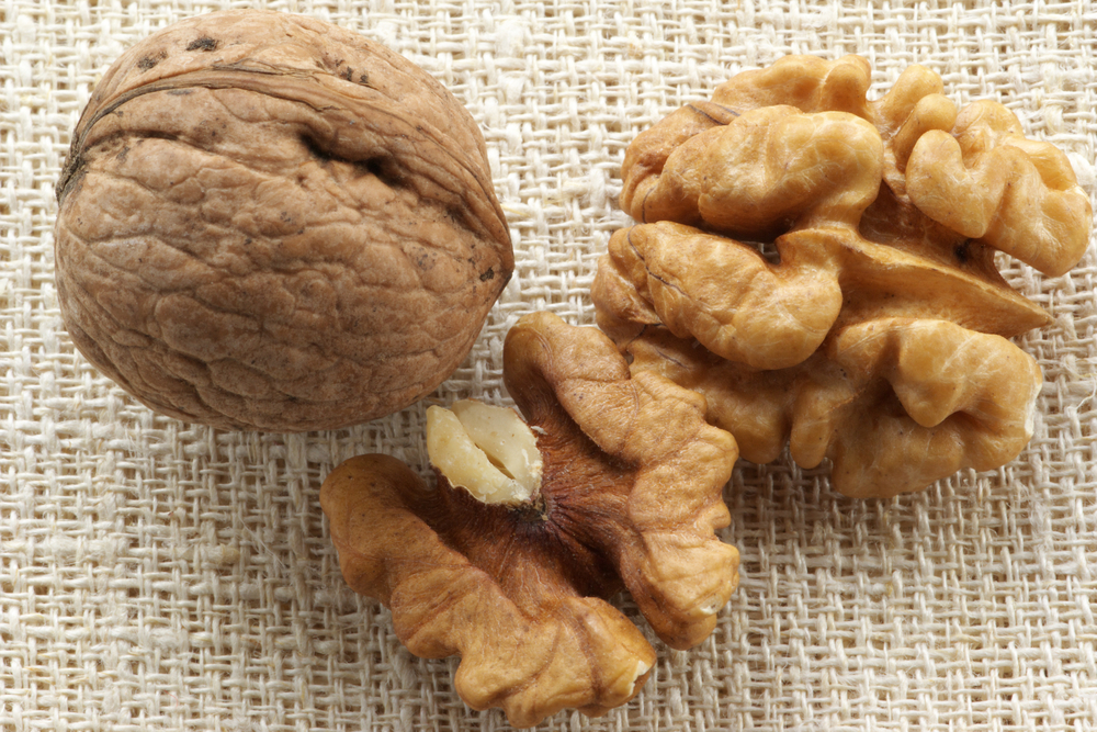 štítná žláza - vlašské ořechy