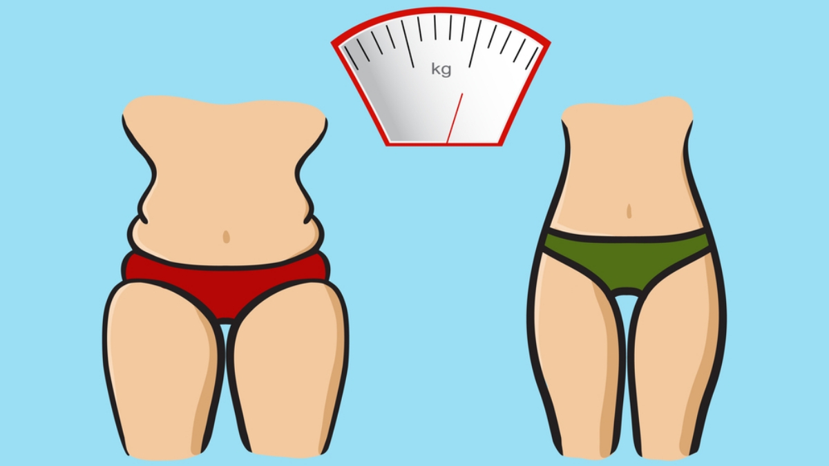 Dieta 5 2 Aneb Jak Se Neomezovat A P itom Hubnout Rychlost Blesku Dieta 5 2 Aneb Jak Se Neomezovat A P itom Hubnout Rychlost Blesku