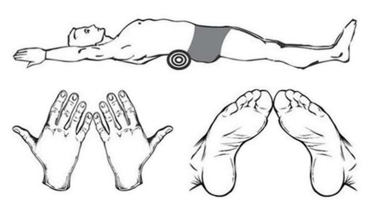 Protahov n m Zlep te Svou Pohyblivost JakZdrav cz Protahov n m Zlep te Svou Pohyblivost JakZdrav cz