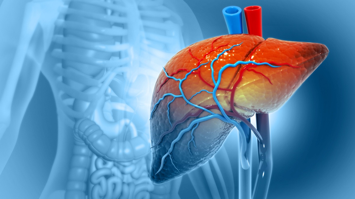 Cirh za Jater Nen Jen Nemoc Alkoholik JakZdrav cz Cirh za Jater Nen Jen Nemoc Alkoholik JakZdrav cz