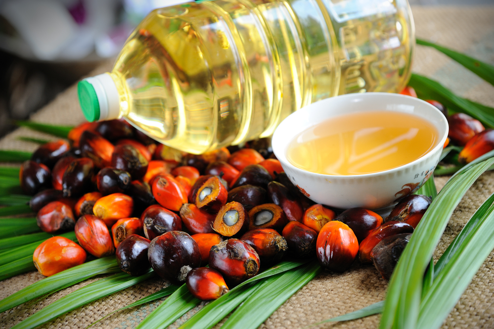 Palmový olej na stole 