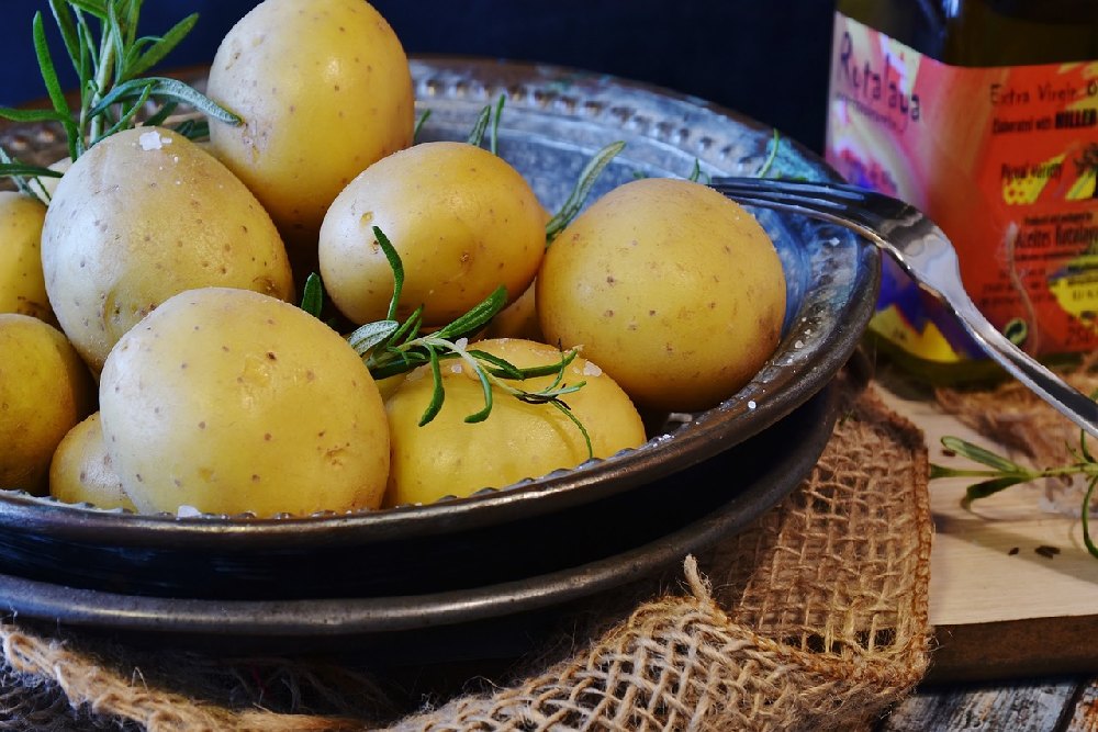 Vařené brambory ve slupce na talíři s vidličkou