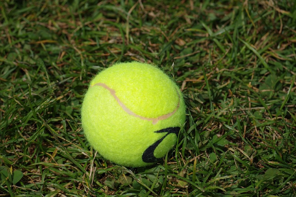Tenisový míček na trávníku 