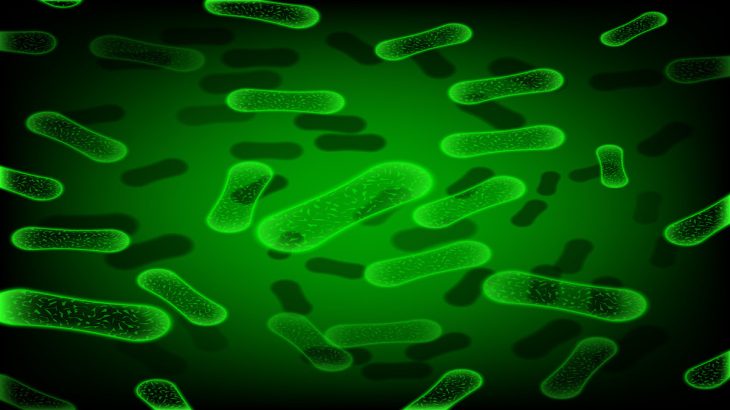 Zelená vizualizace bakterií Salmonella