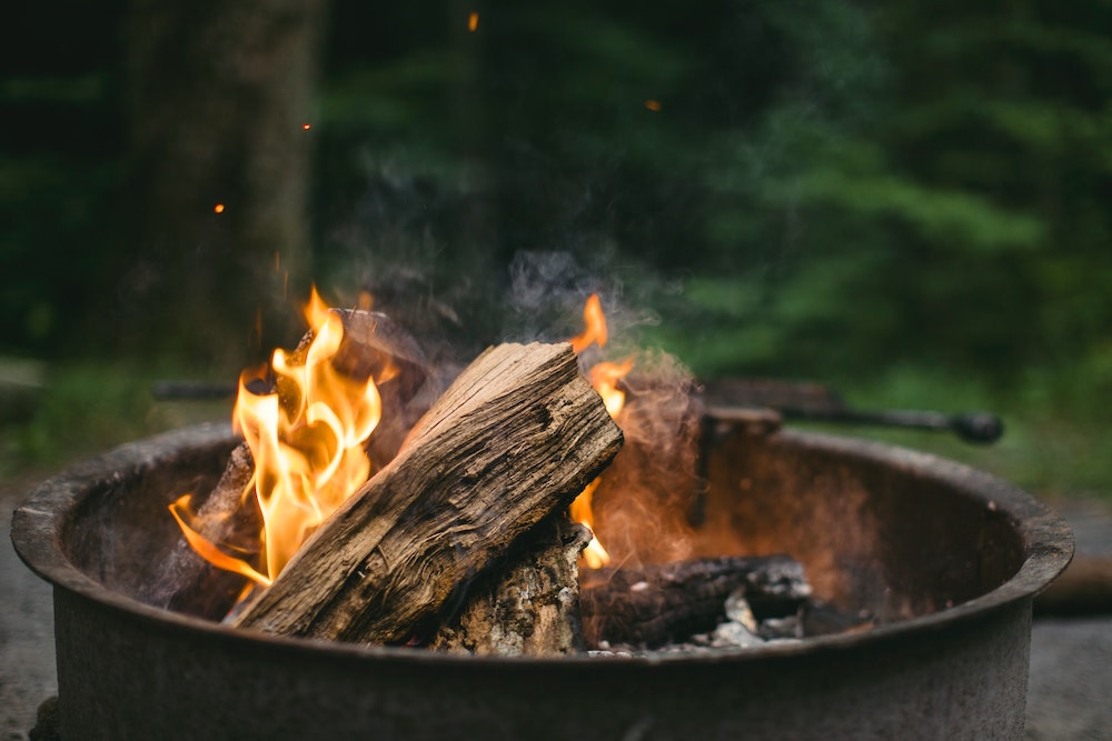 Hořící dřevo na kraji lesa