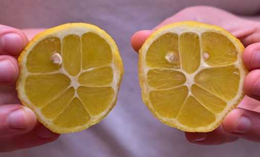 citron napůl