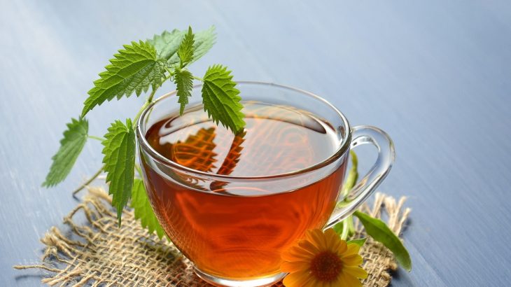 Skleněný šálek kopřivového čaje ozdobený kopřivou a květinou