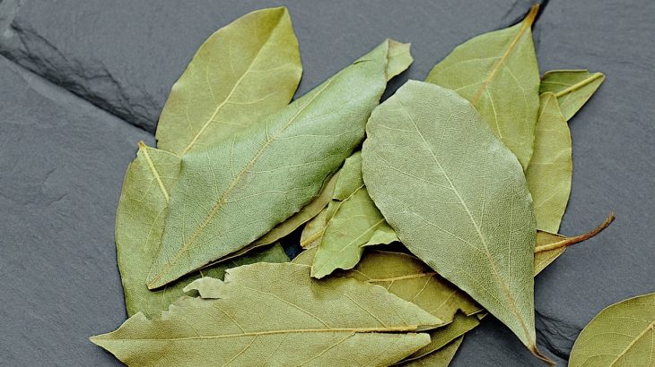 Listy bobkového listu