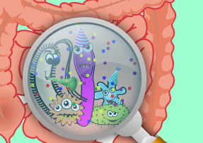 Kreslený obrázek bakterií a patogenů ve střevech pod lupou