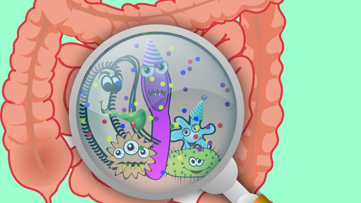Kreslený obrázek bakterií a patogenů ve střevech pod lupou