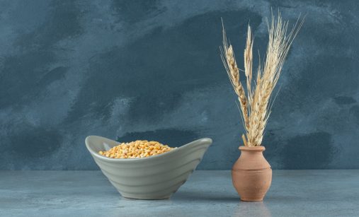 Obilí ve váze a semena v misce