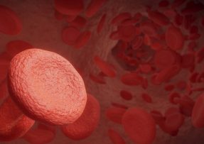 Červené krvinky v cévě